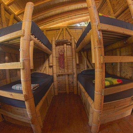 La Perla Negra - Black Pearl Eco Hostel San Rafael  Eksteriør bilde