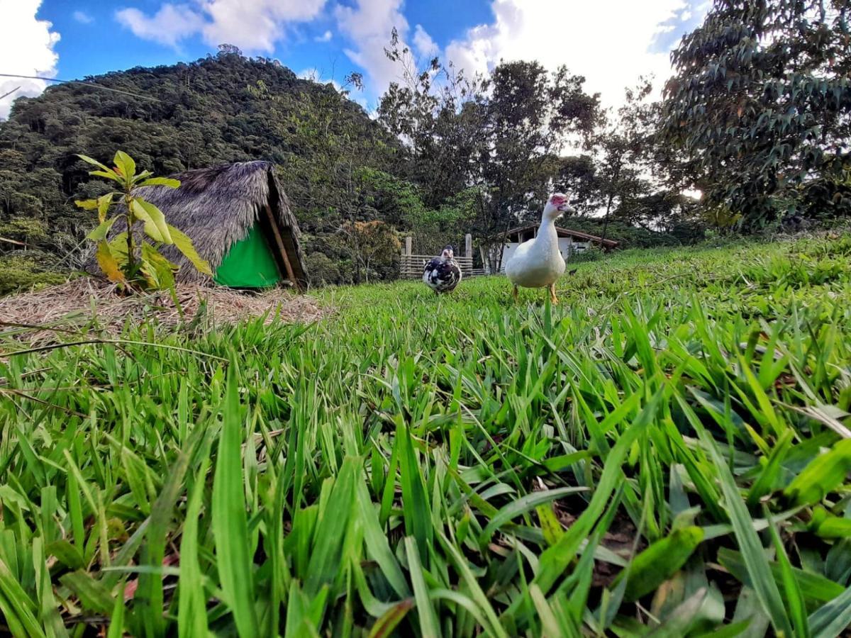 La Perla Negra - Black Pearl Eco Hostel San Rafael  Eksteriør bilde