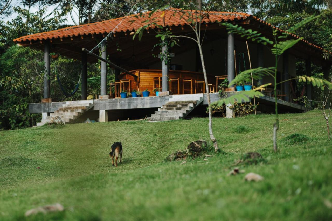La Perla Negra - Black Pearl Eco Hostel San Rafael  Eksteriør bilde