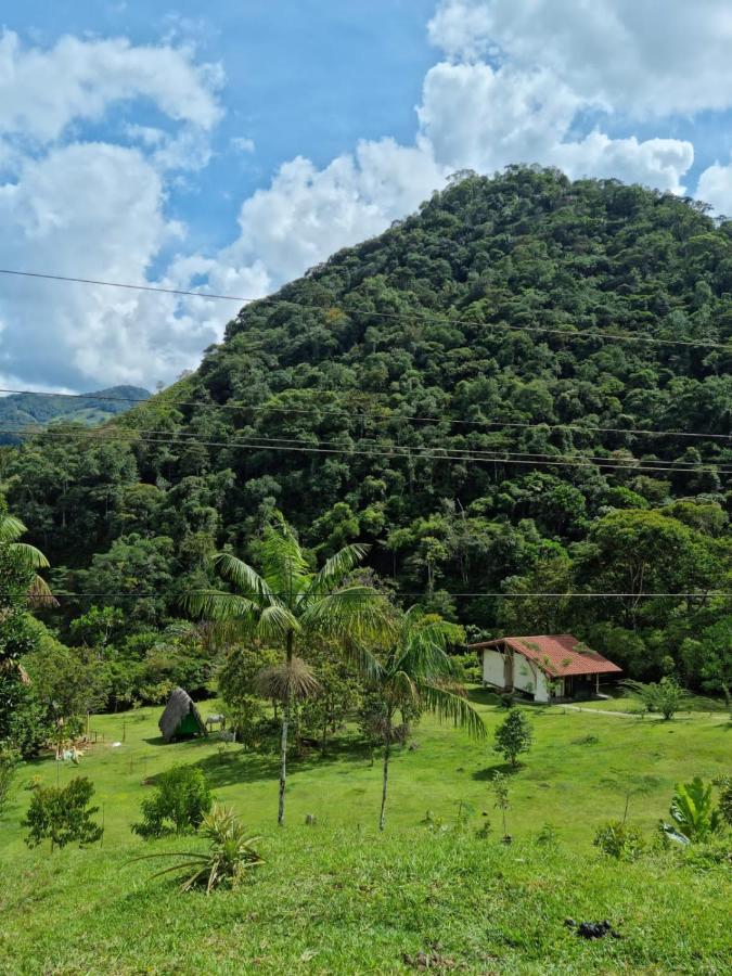 La Perla Negra - Black Pearl Eco Hostel San Rafael  Eksteriør bilde