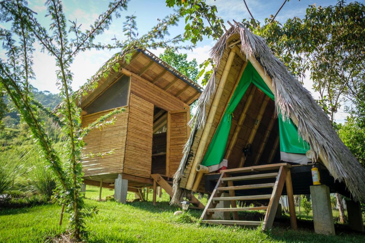 La Perla Negra - Black Pearl Eco Hostel San Rafael  Eksteriør bilde