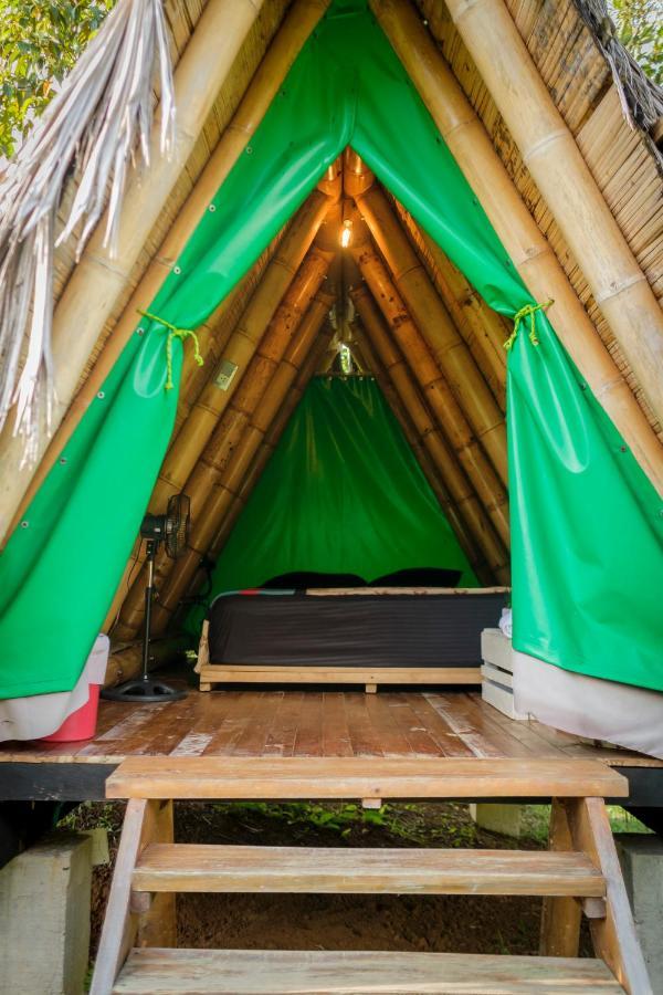 La Perla Negra - Black Pearl Eco Hostel San Rafael  Eksteriør bilde