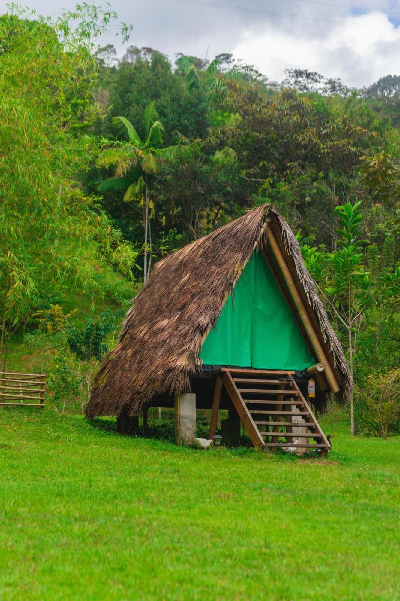La Perla Negra - Black Pearl Eco Hostel San Rafael  Eksteriør bilde