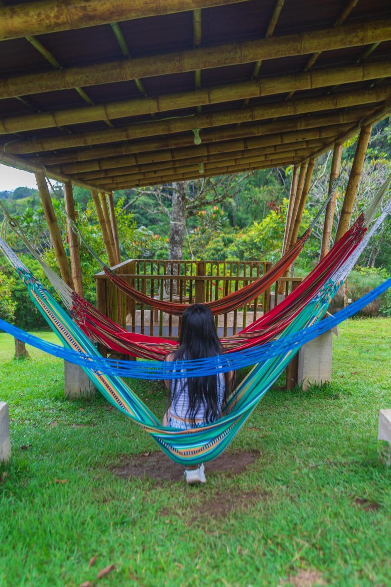 La Perla Negra - Black Pearl Eco Hostel San Rafael  Eksteriør bilde