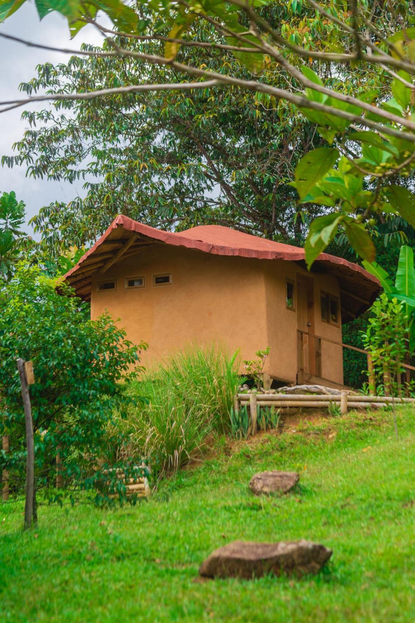 La Perla Negra - Black Pearl Eco Hostel San Rafael  Eksteriør bilde